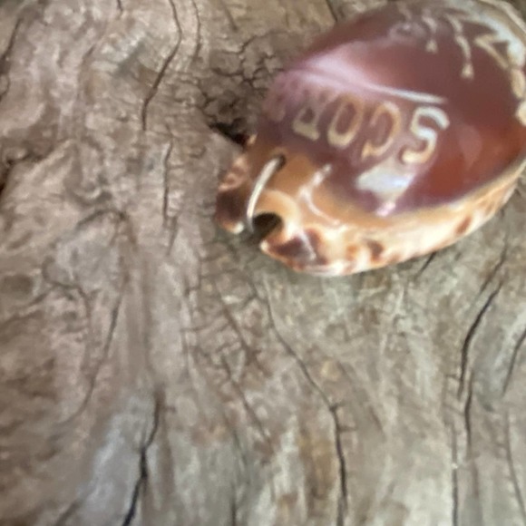 Scorpio Cowrie Shell Necklace Pendant Vintage 70's Etched Beach Souvenir Zodiac - Picture 7 of 7